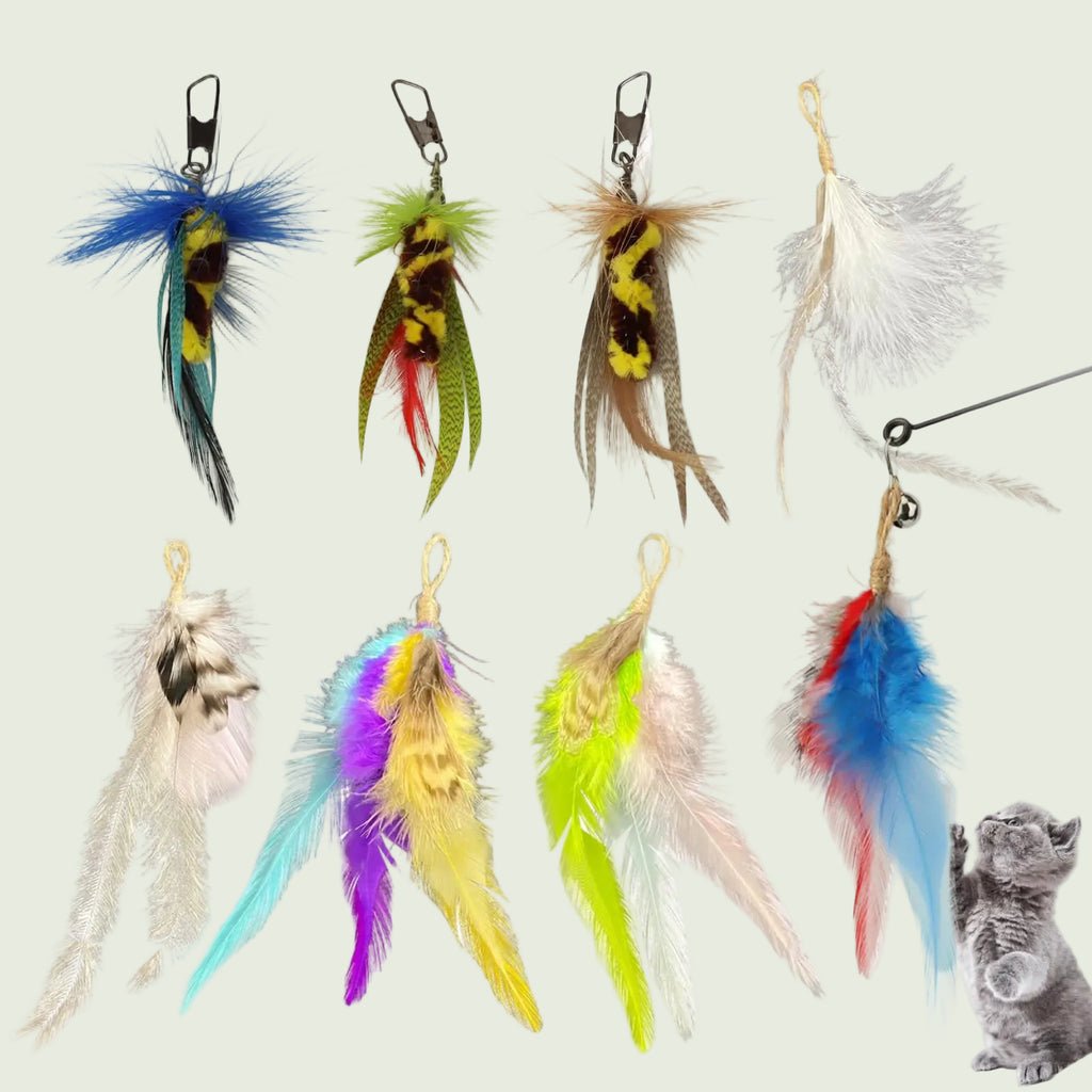 Toulideifaria Cat Feather Toys Replacement Cat Wand Toys 8pcs Cat Wand Attachments Interactive Cat Toys for Indoor Cat